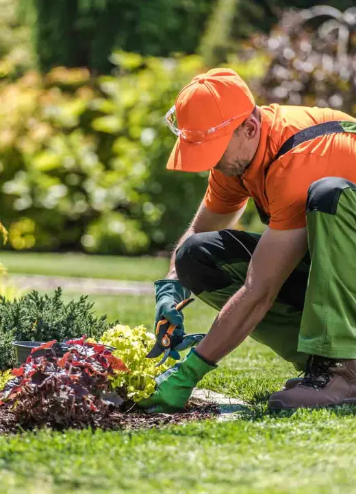 Velasquez Landscaping LLC team — licensed landscaping contractor serving New Jersey