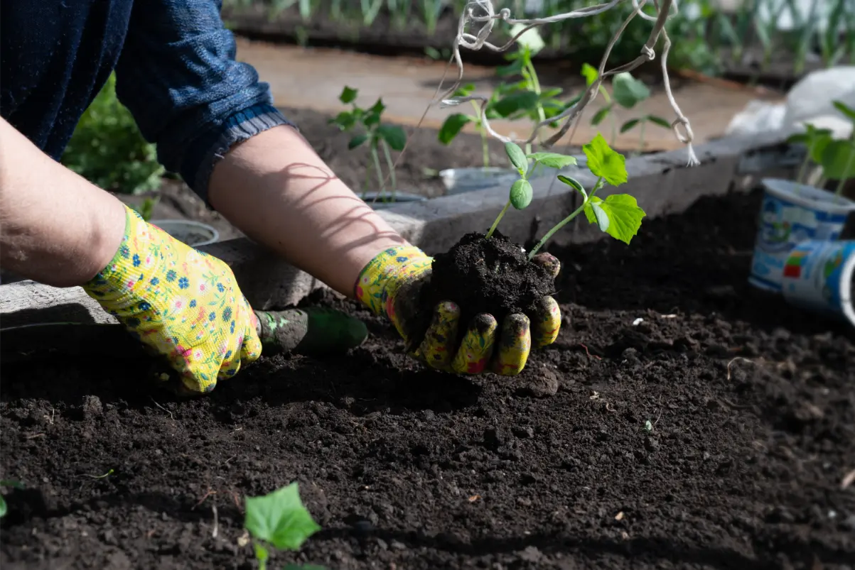 Gardening and planting services in New Jersey — Velasquez Landscaping LLC