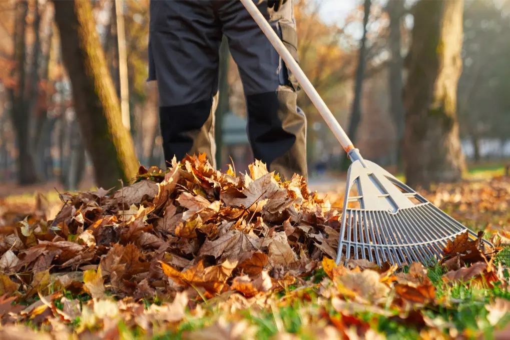 Spring and fall cleanup in New Jersey — Velasquez Landscaping LLC