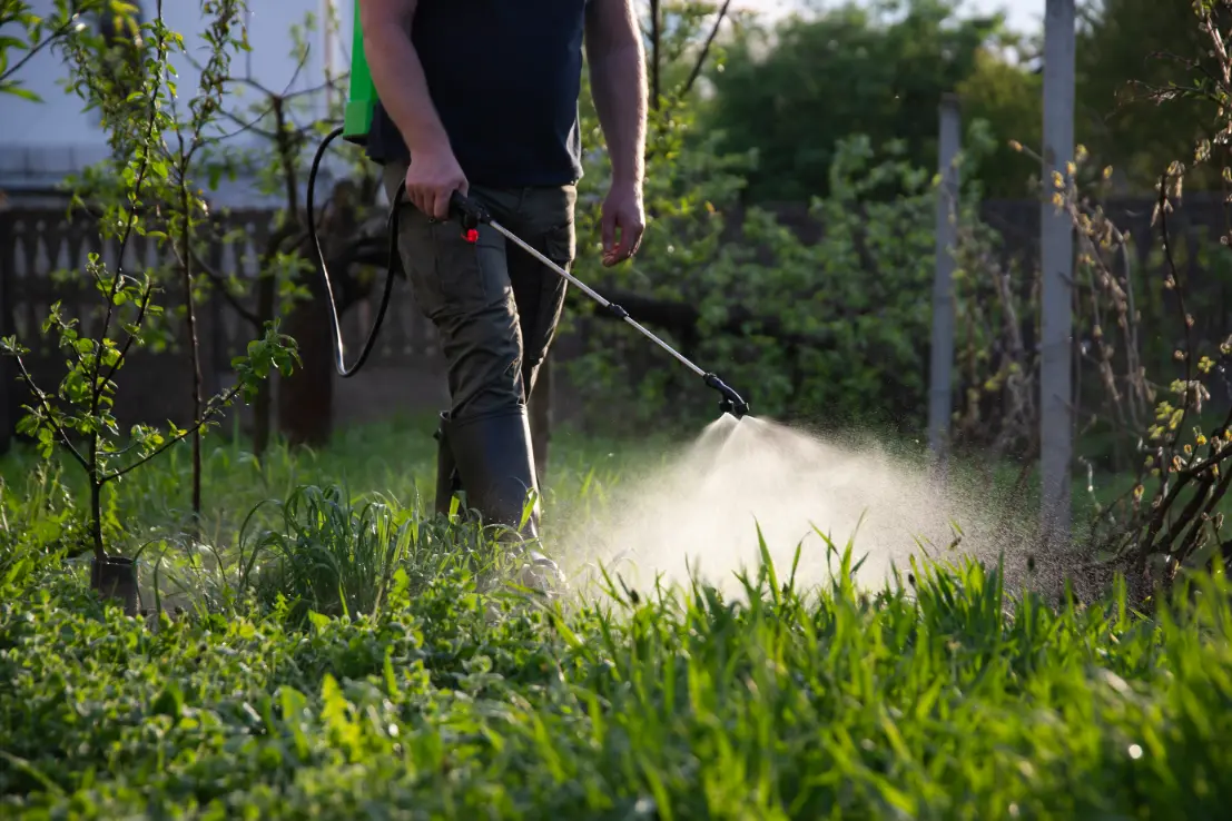 Weed Control New Jersey